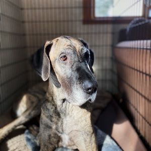 Meet your Posher, Melanie